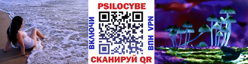 Псилоцибиновые грибы прущие грибы  что такое наркотик  это клад  Тамбов 